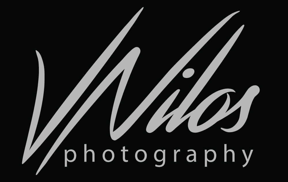 vnilos.photography logo